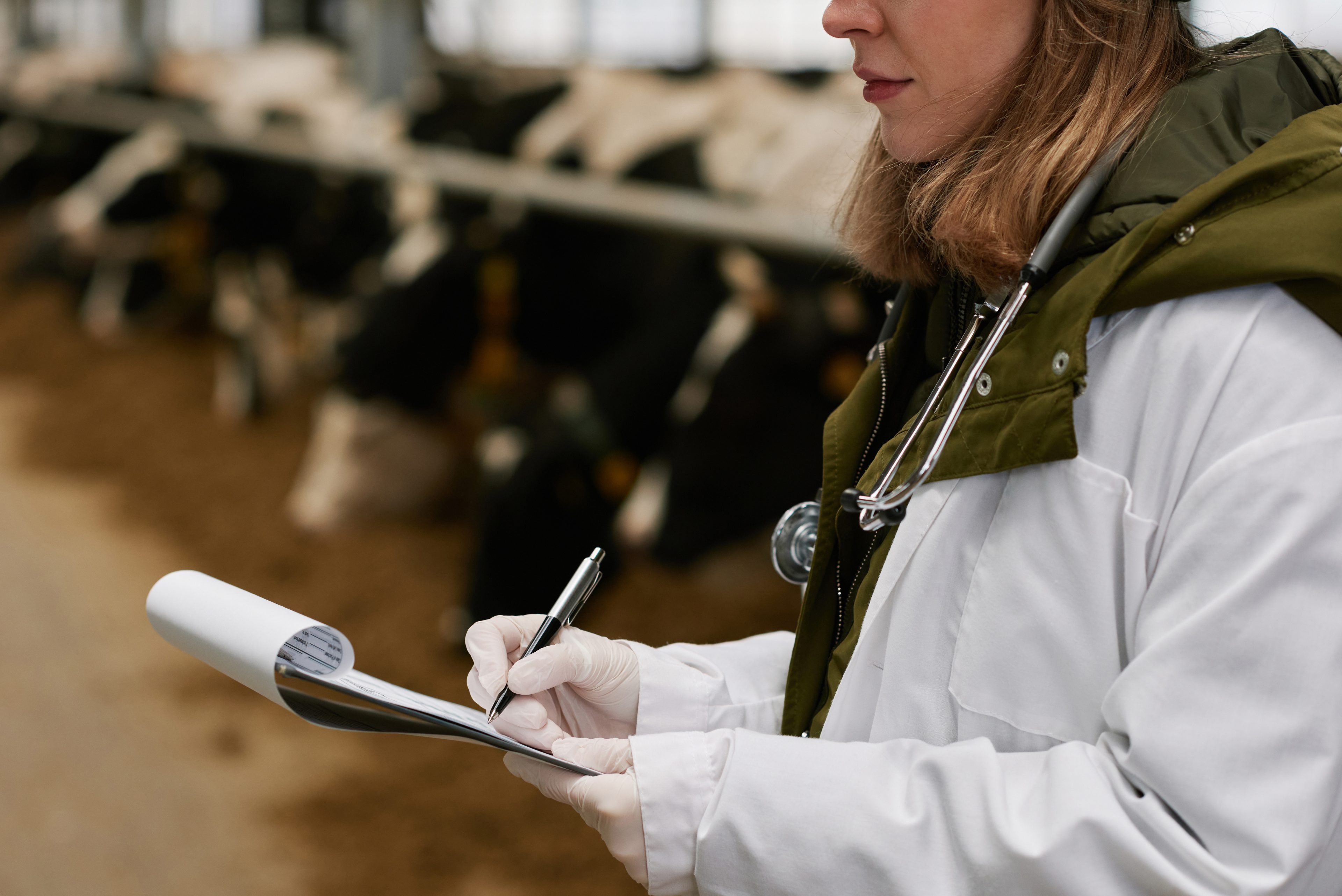 A veterinarian in a white coat and stethoscope writes on a clipboard in a barn, with blurred cows in the background, conveying diligence and care.